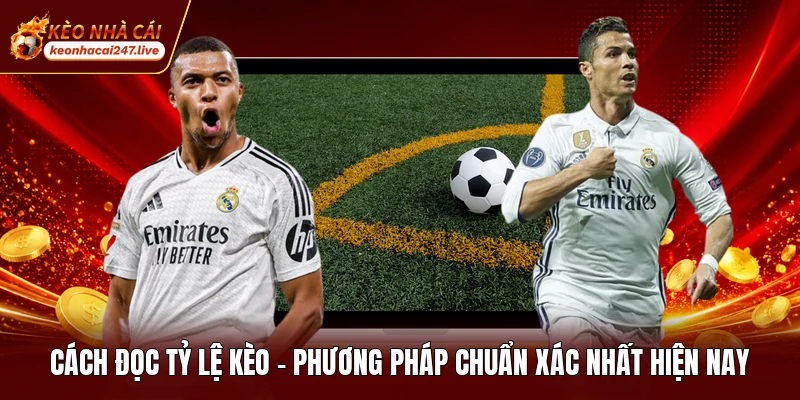 Cách Đọc Tỷ Lệ Kèo