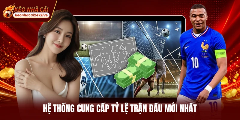 Hệ thống cung cấp tỷ lệ trận đấu mới nhất
